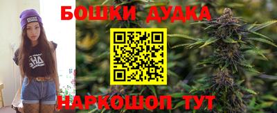 МДПВ Брянск