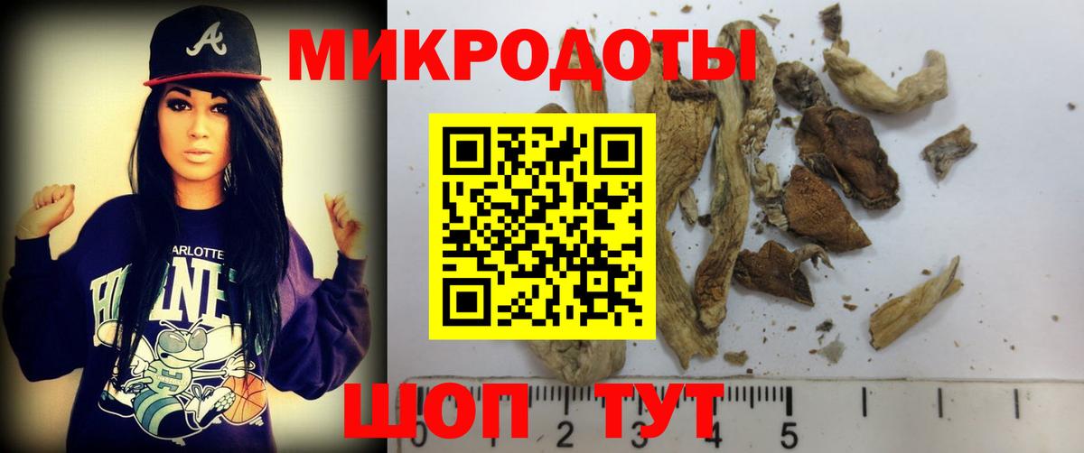 Галлюциногенные грибы мицелий  Вход с VPN  купить   Ростов Великий 